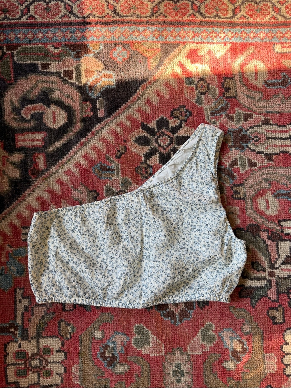American Eagle Outfitters One-Shoulder White and Blue Floral Crop Top